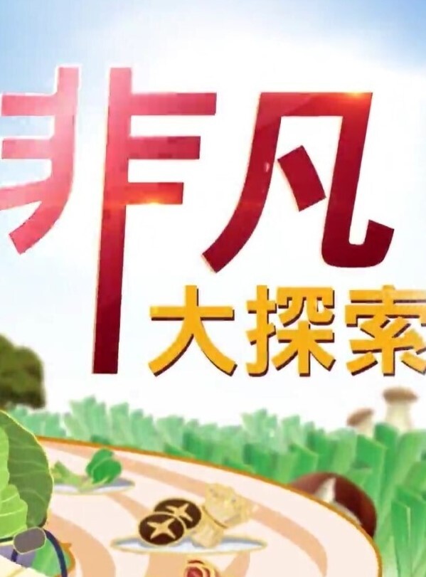 精品偷拍美女被操的满口淫语大叫喜欢你操我鸡巴又粗又长把我小骚逼都操开了好痒啊 - 就要草视频